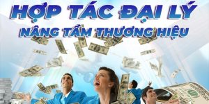 Tổng quan chung về chương trình đại lý VF555