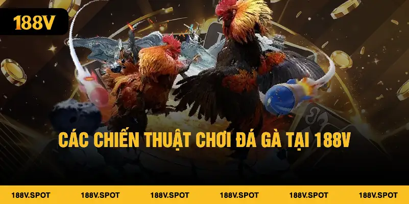 Đá Gà 188V – Trải Nghiệm Kịch Tính Với Các Thể Loại Độc Đáo 2 Các chiến thuật chơi đá gà tại 188V