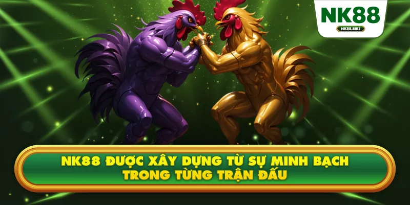 Đá Gà Thomo NK88 – Sân Chơi Kịch Tính Và Nghệ Thuật Soi Kèo Hiệu Quả 3 NK88 được xây dựng từ sự minh bạch trong từng trận đấu
